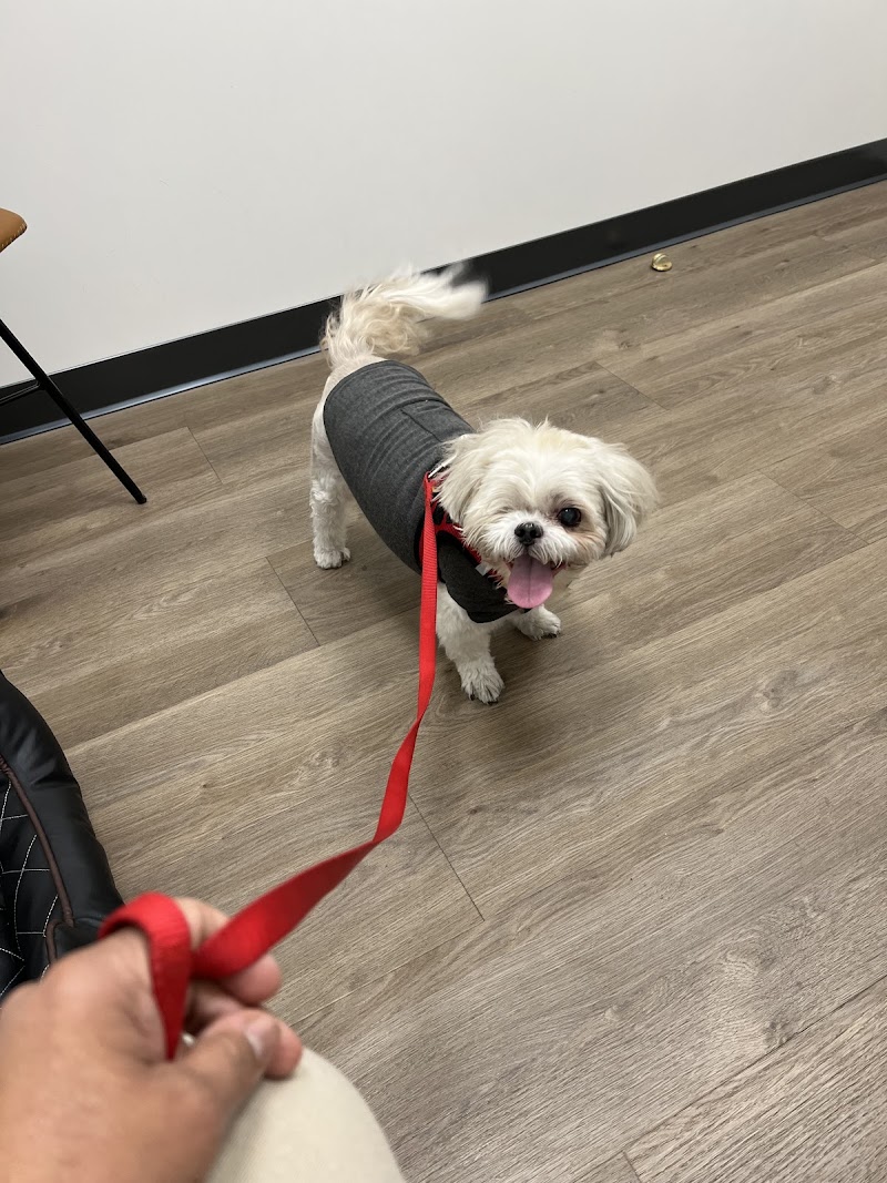 The Animal Cardiology Center
