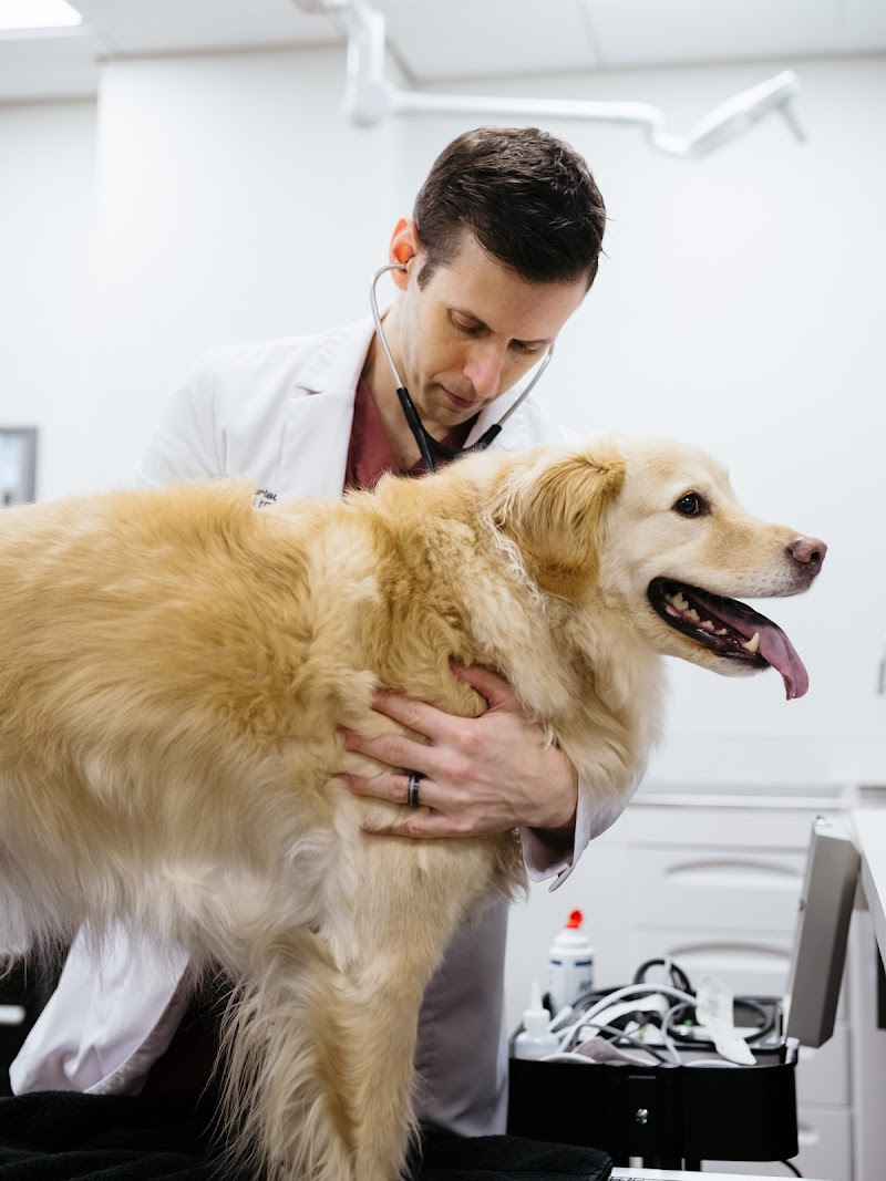 The Animal Cardiology Center