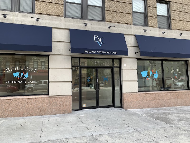 Brilliant Veterinary Care
