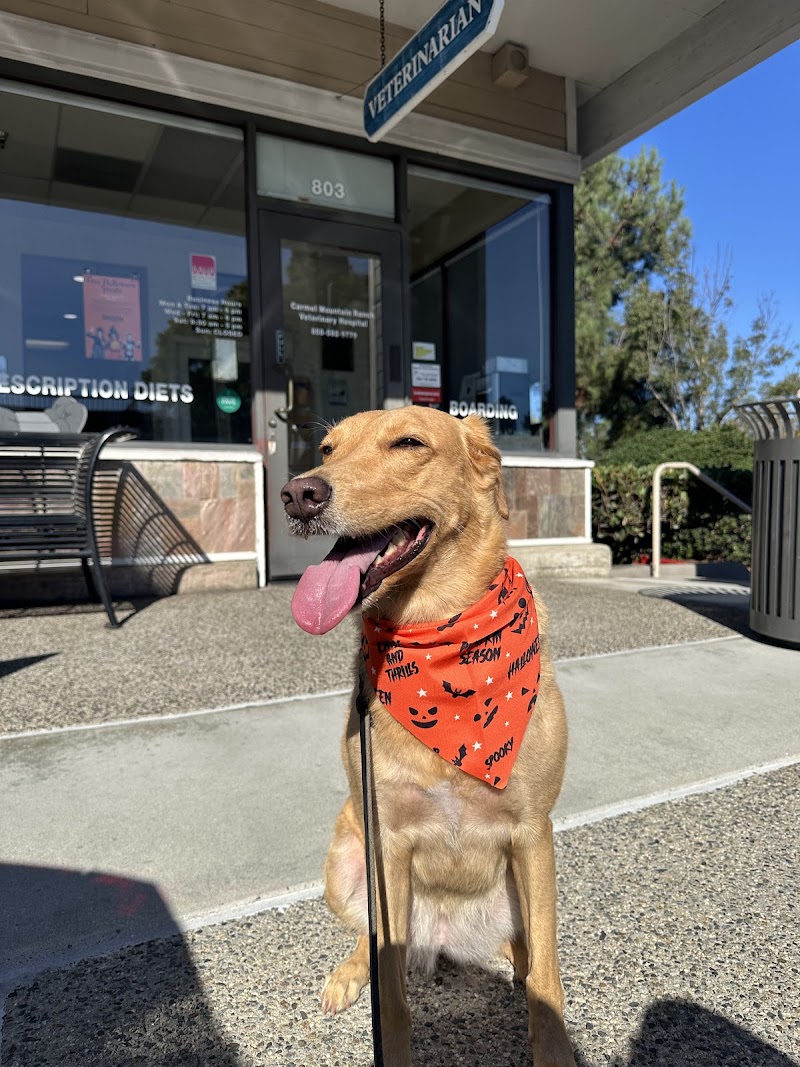 Carmel Mountain Ranch Veterinary Hospital