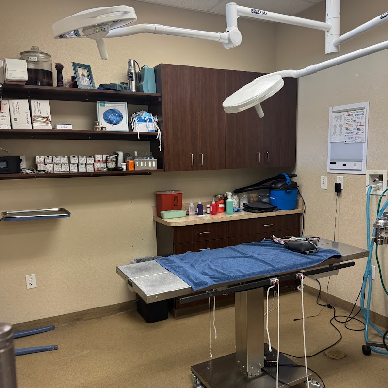 Bingle Veterinary Clinic