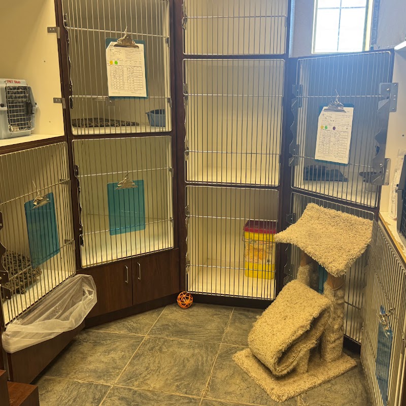 Bingle Veterinary Clinic