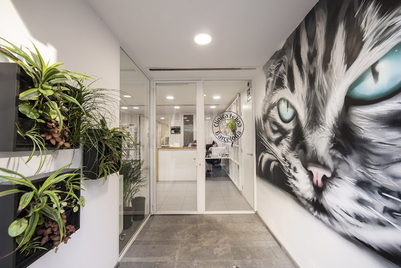 CLINICA FELINA BARCELONA