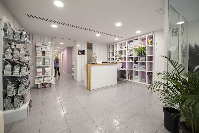 CLINICA FELINA BARCELONA