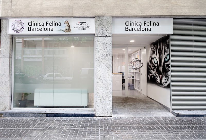 CLINICA FELINA BARCELONA