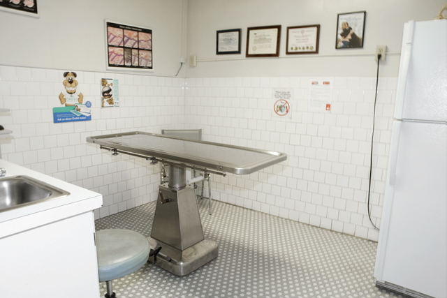 Los Feliz Small Animal Hospital