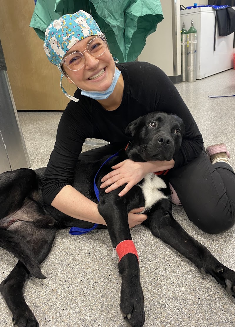 Animal Care Hospital of Phoenix