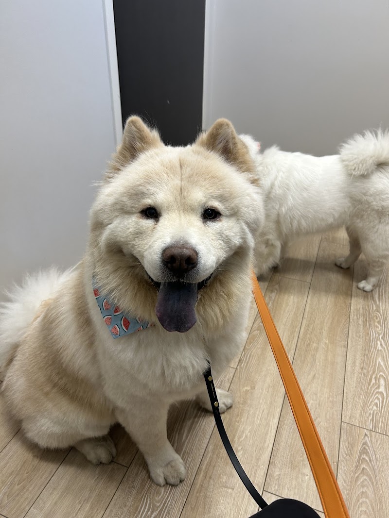 Ukrainian Village Veterinary Center