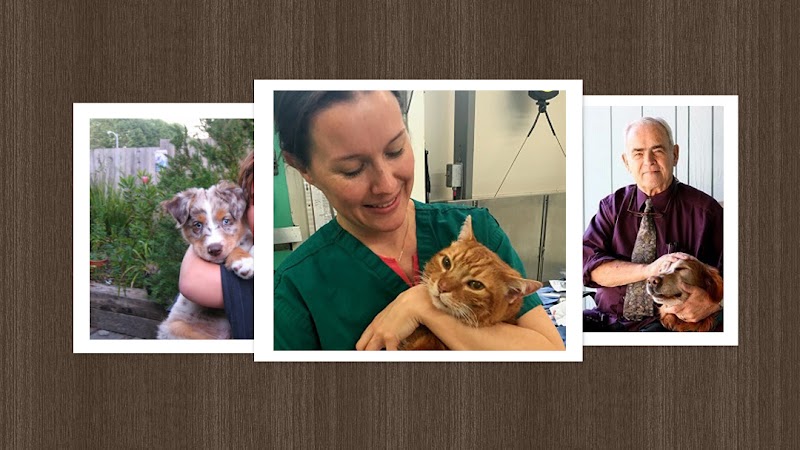 Balboa Pet Hospital