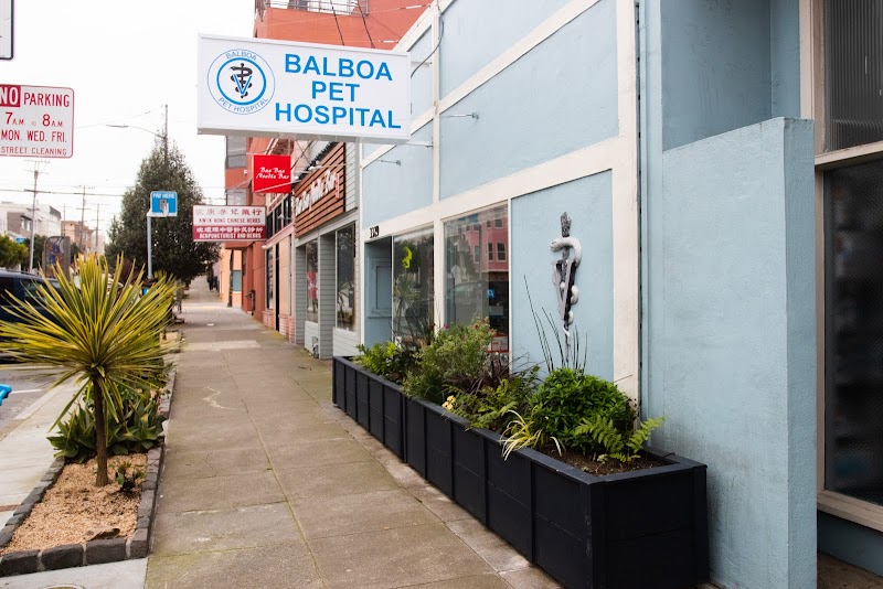 Balboa Pet Hospital