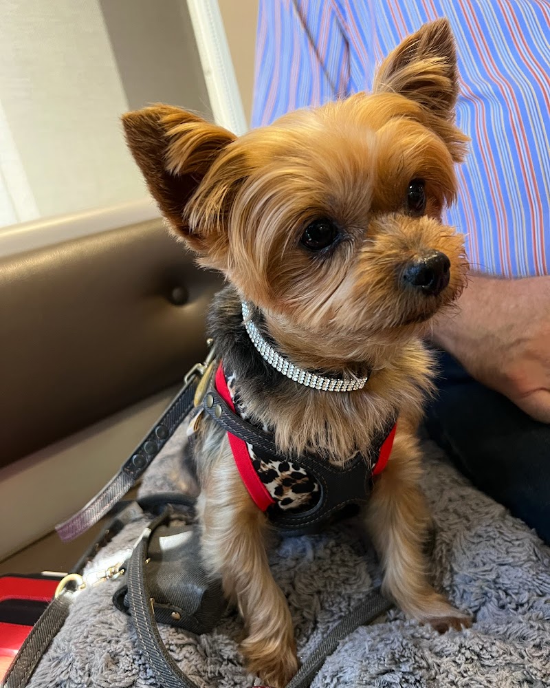Willow Glen Pet Hospital