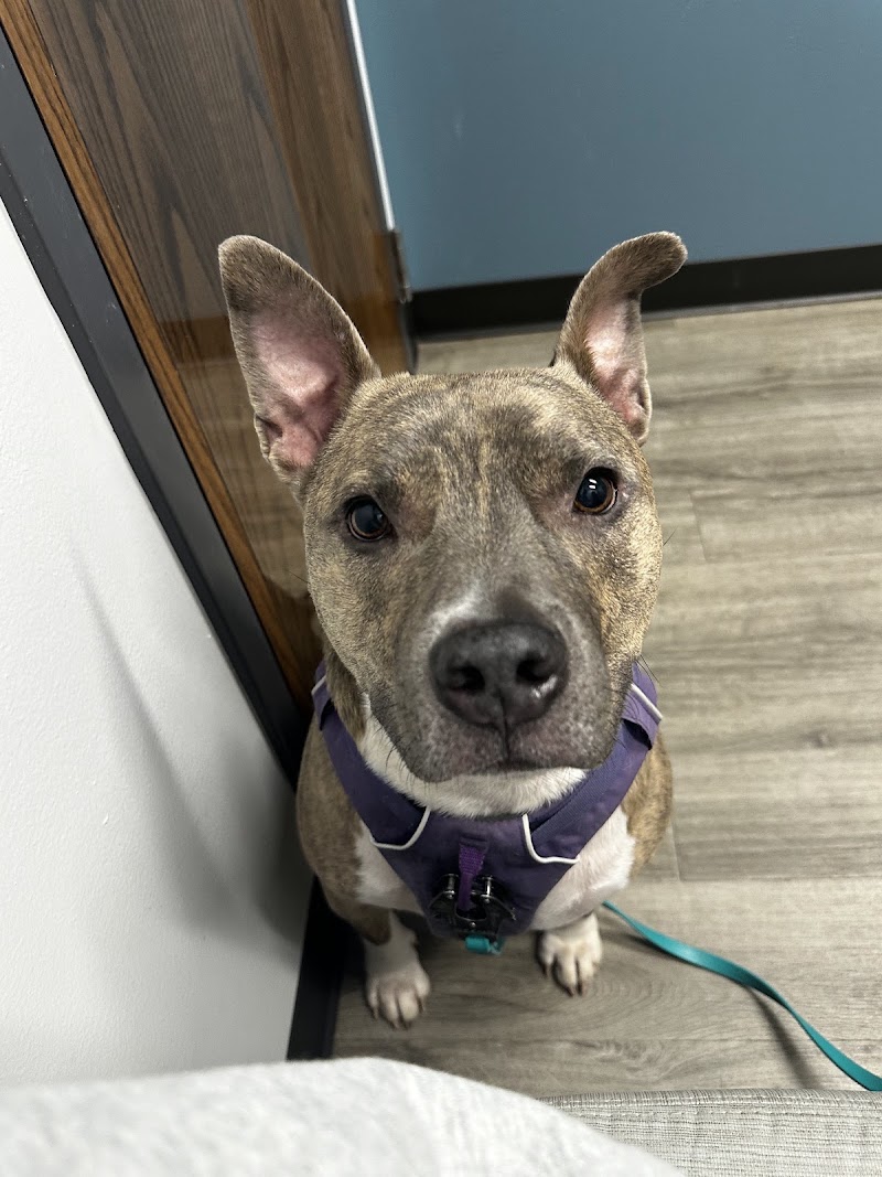Woodlake Veterinary Hospital