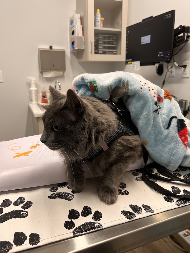 Woodlake Veterinary Hospital