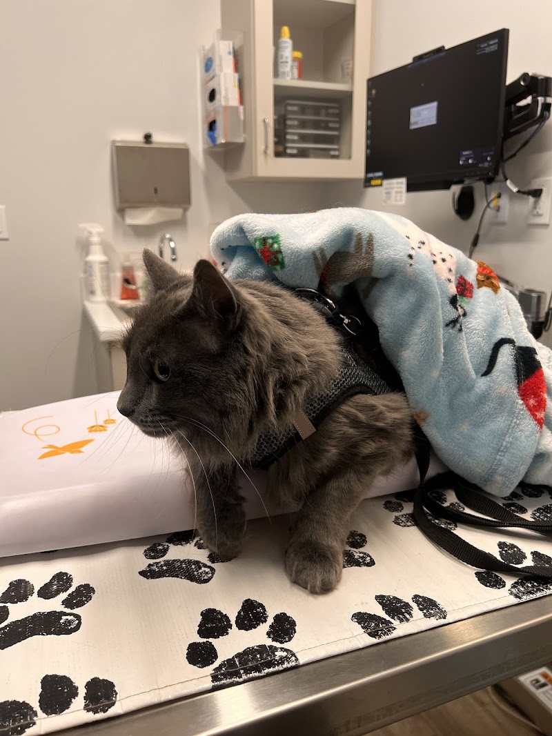 Woodlake Veterinary Hospital
