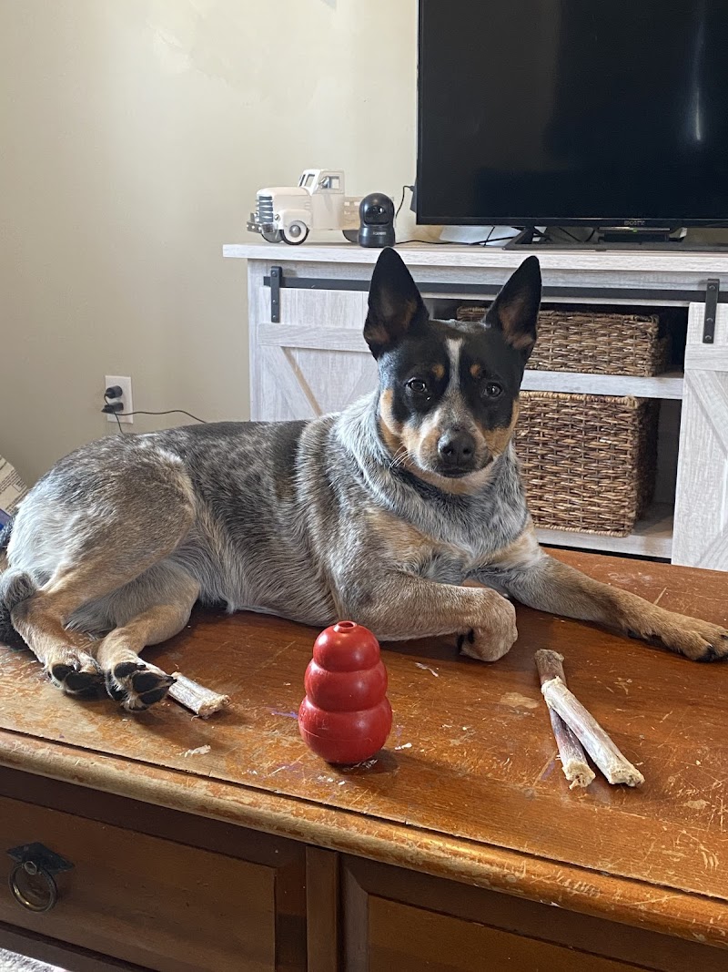 Woodlake Veterinary Hospital: Onffroy Joan R DVM