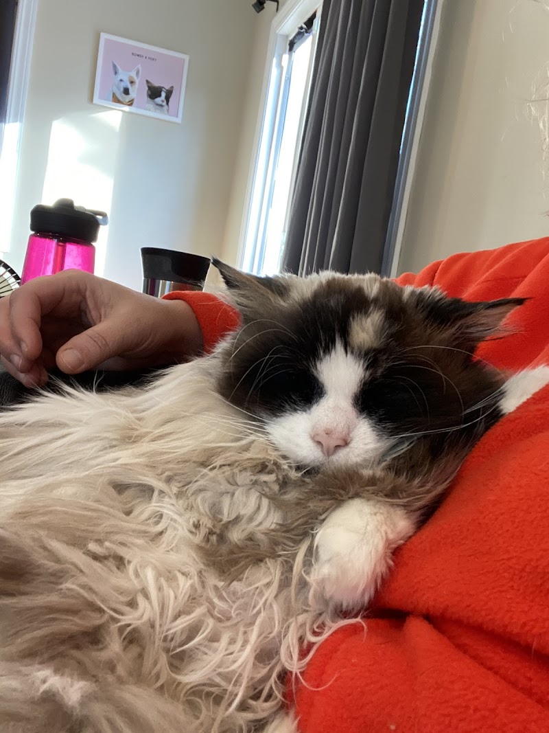 Woodlake Veterinary Hospital: Onffroy Joan R DVM