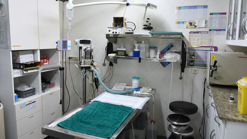 Poble Nou Veterinary Clinic