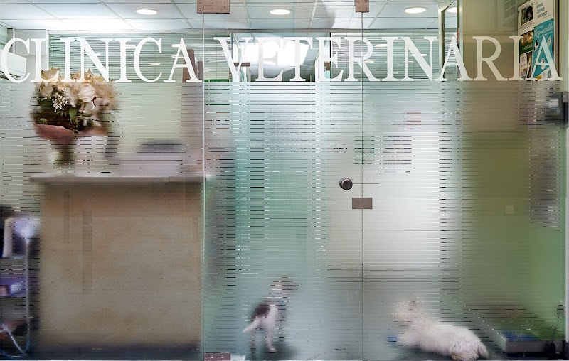 Poble Nou Veterinary Clinic