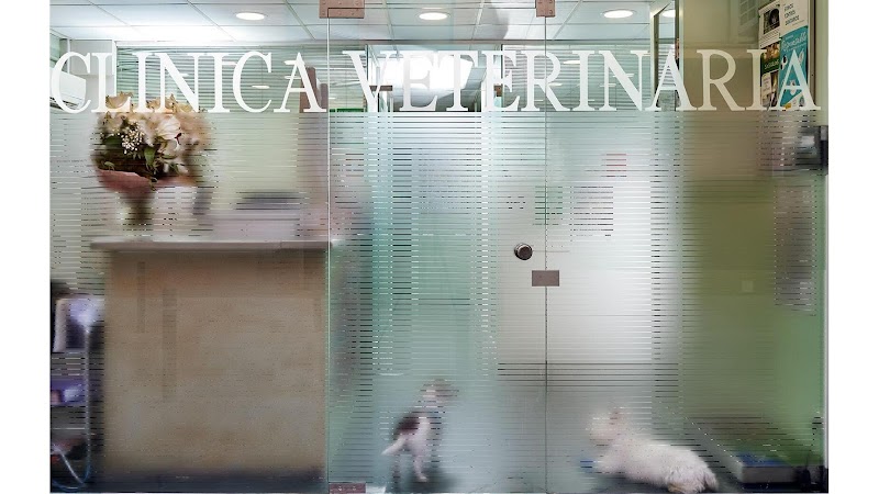Poble Nou Veterinary Clinic