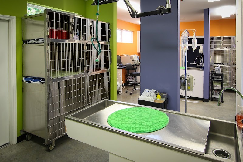 Heights Veterinarian - Urban Animal Veterinary Hospital