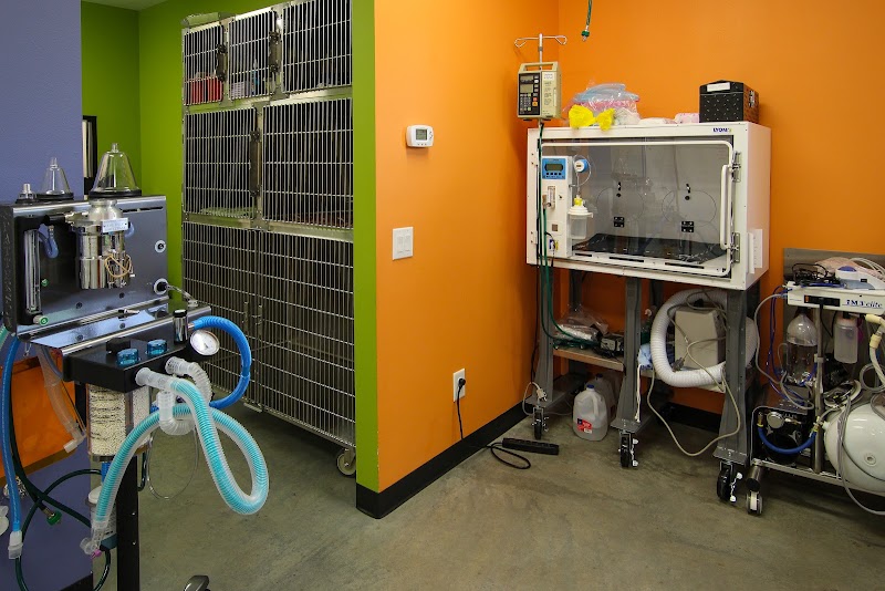 Heights Veterinarian - Urban Animal Veterinary Hospital