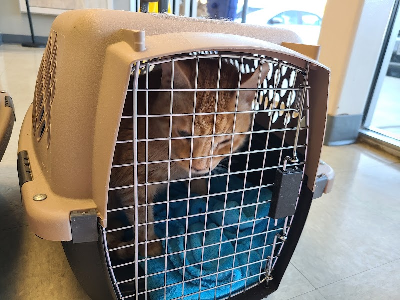 Alamo Heights Pet Clinic