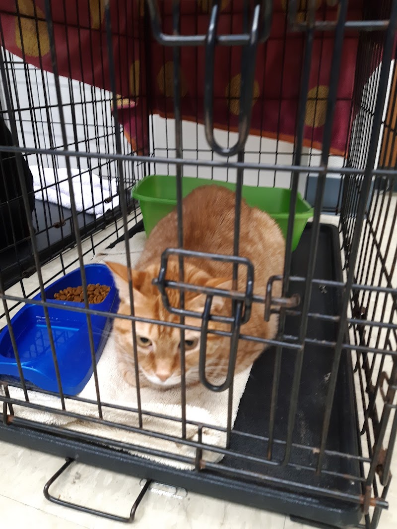 Alamo Heights Pet Clinic