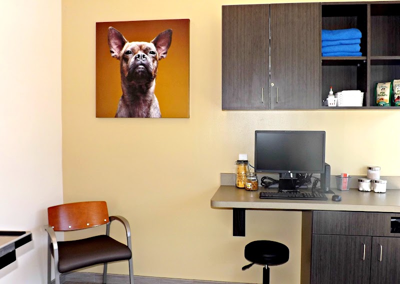 VCA Midtown Animal Hospital