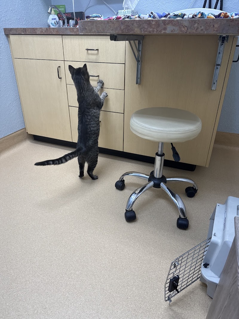 Blue Sky Animal Clinic