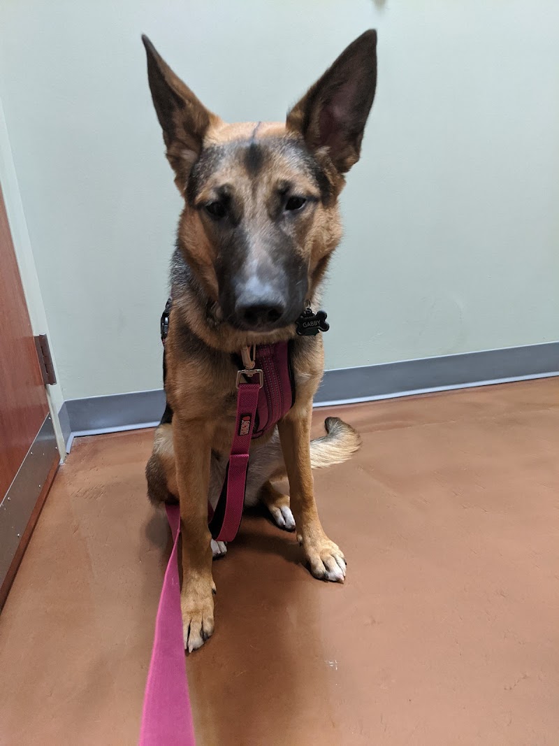 VCA Park Hill Animal Hospital