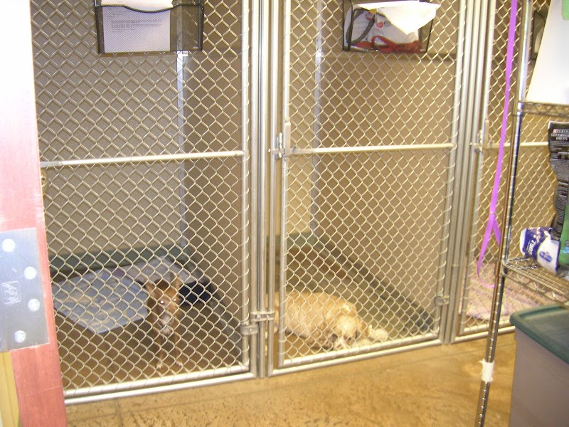 VCA Park Hill Animal Hospital