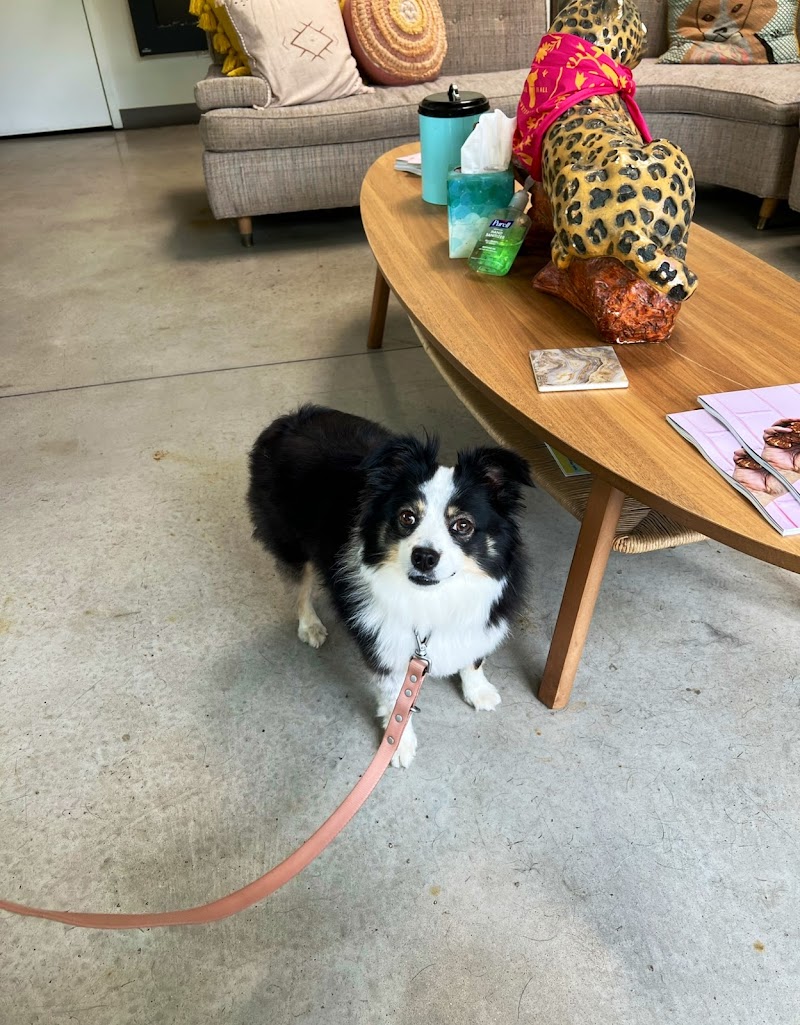 PAZ Veterinary South
