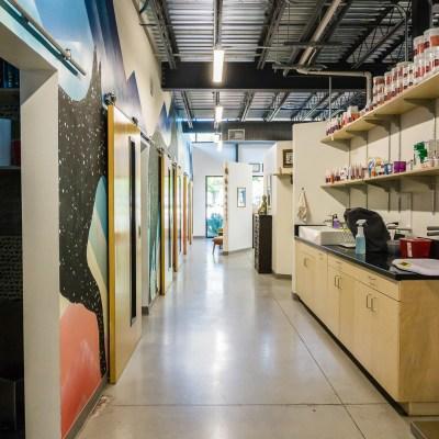 PAZ Veterinary South