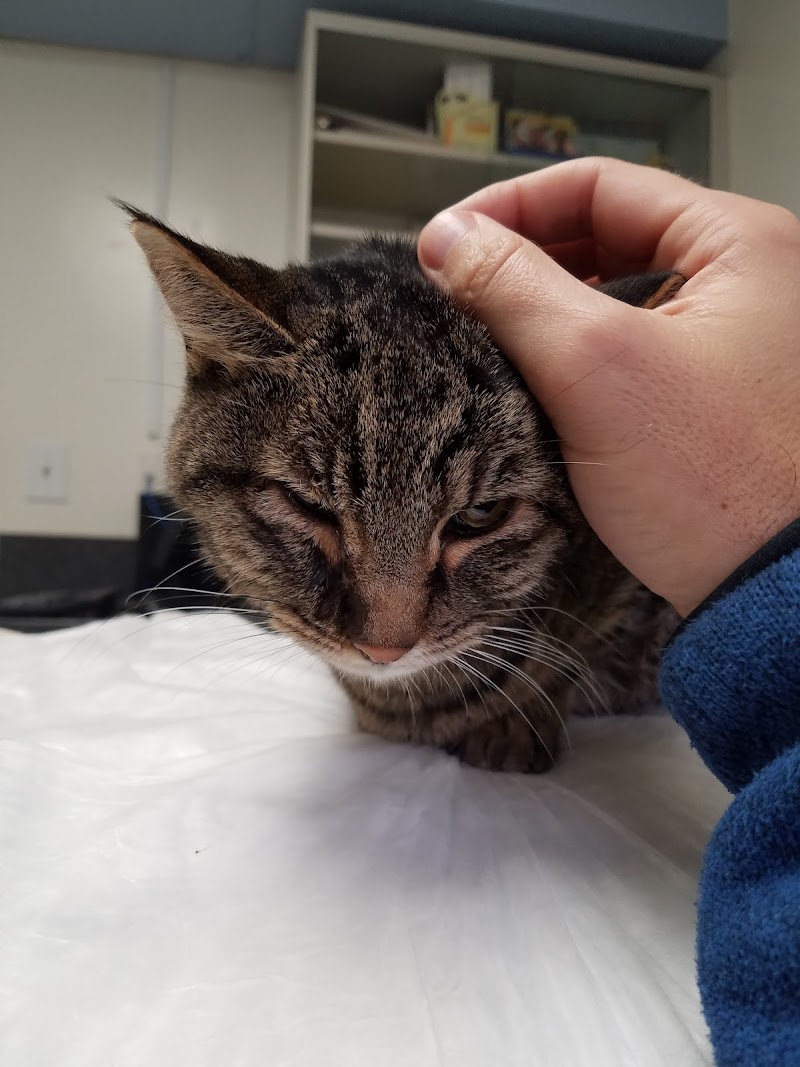 Arguello Pet Hospital
