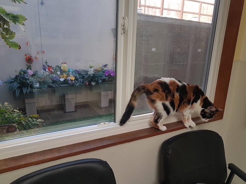 Arguello Pet Hospital