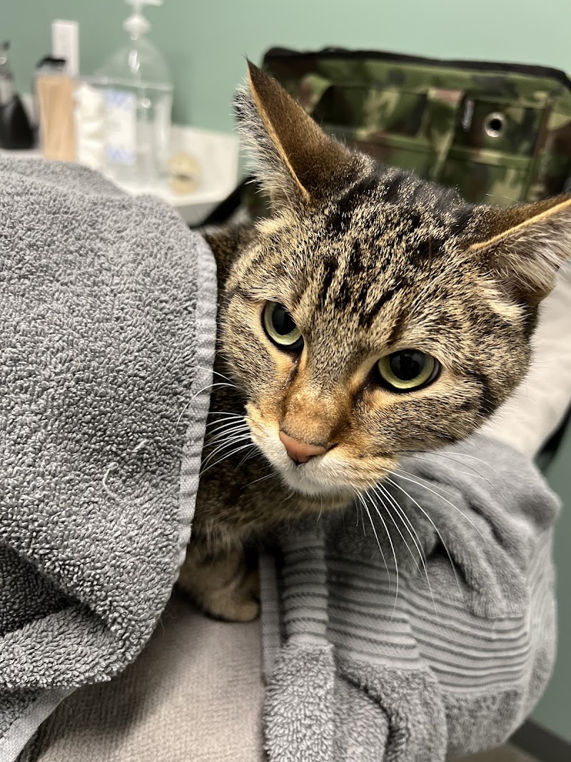 Grateful Heart Veterinary Hospital
