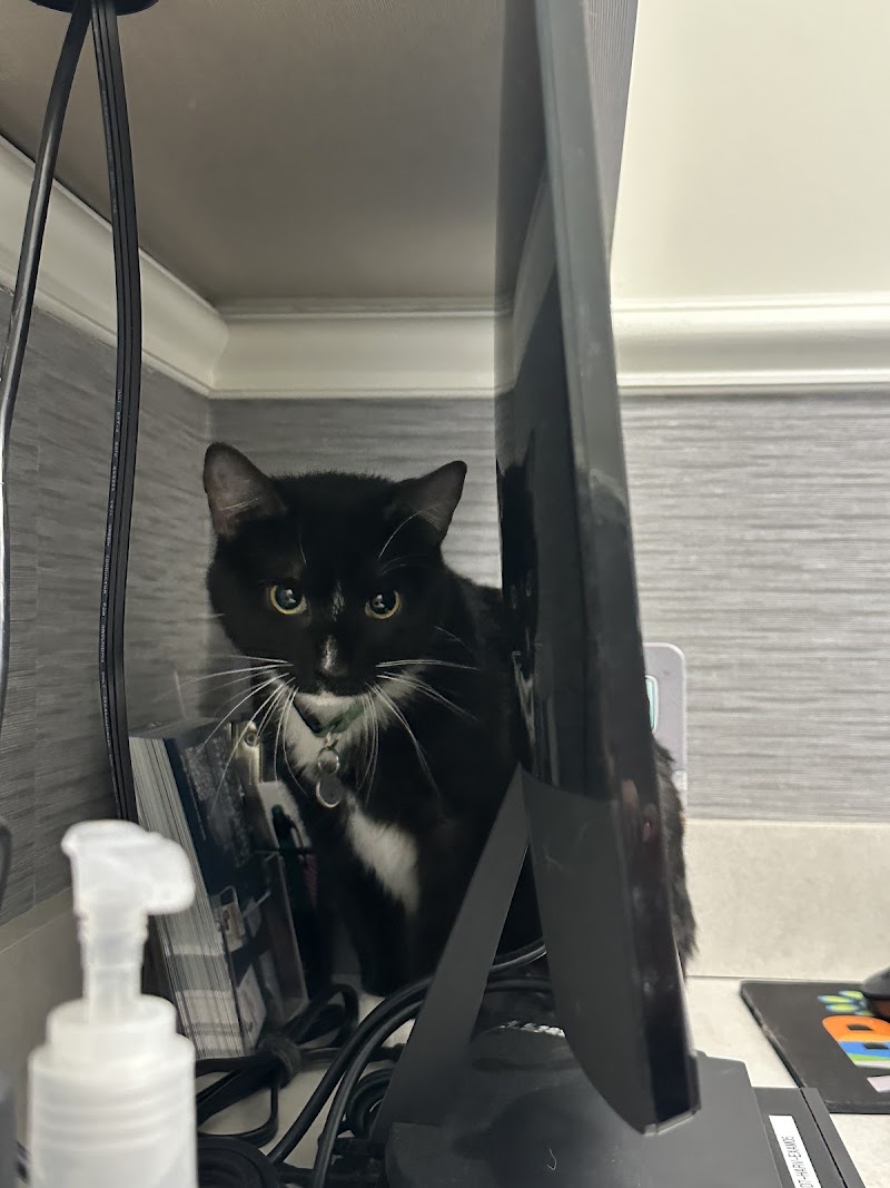 Harvester Veterinary Hospital of Burr Ridge