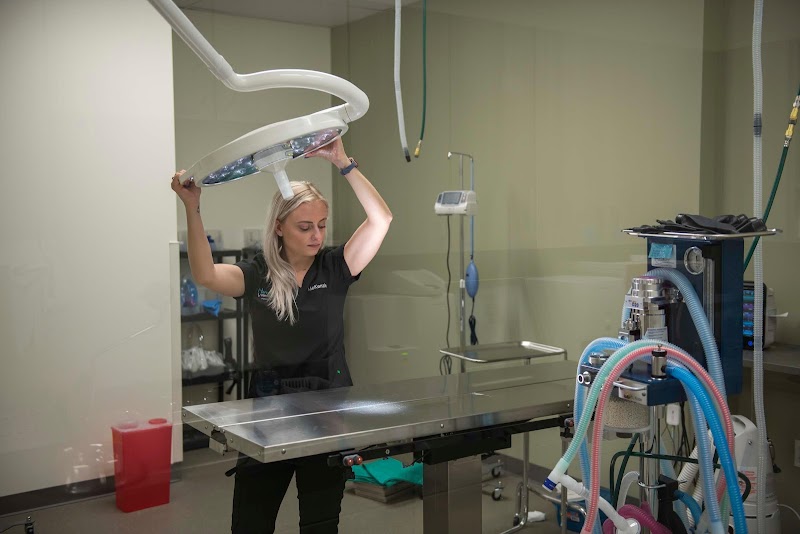 Harvester Veterinary Hospital of Burr Ridge