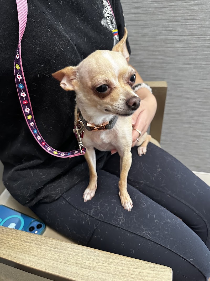 Harvester Veterinary Hospital of Burr Ridge