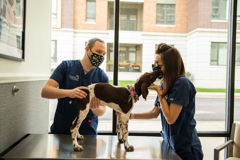 Harvester Veterinary Hospital of Burr Ridge
