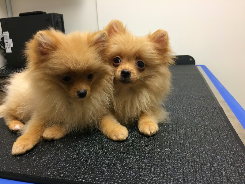 Beverly Robertson Veterinary Clinic
