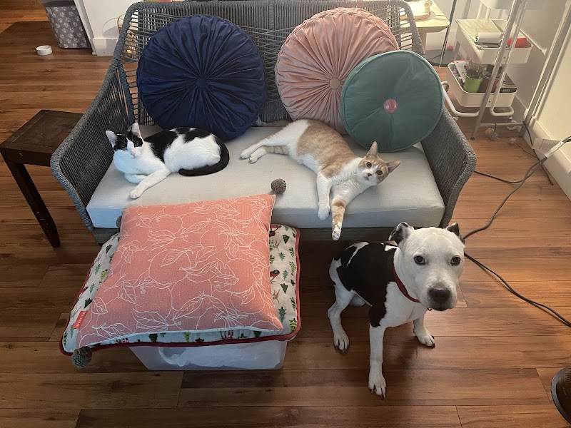 Beverly Robertson Veterinary Clinic