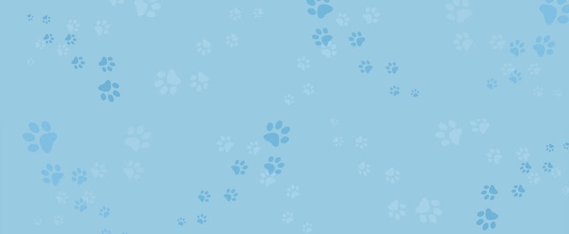 Veterinary Internal Medicine & Diagnostic Center
