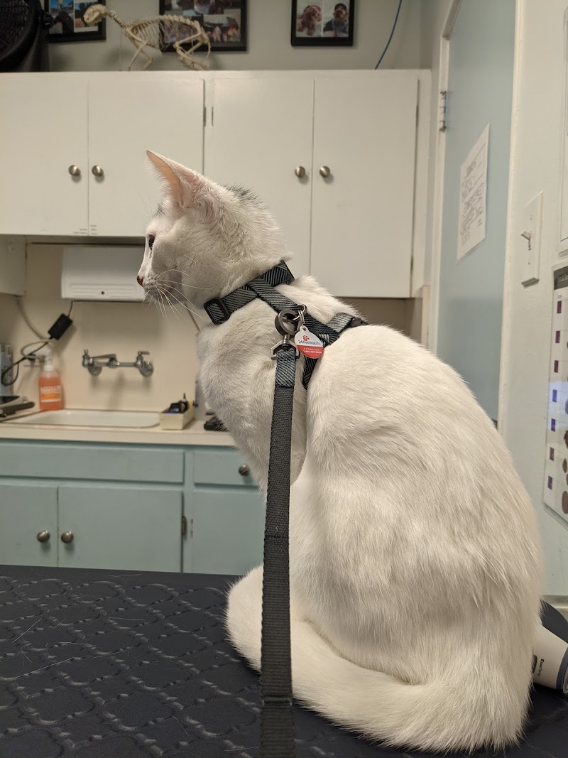 Irving Pet Hospital