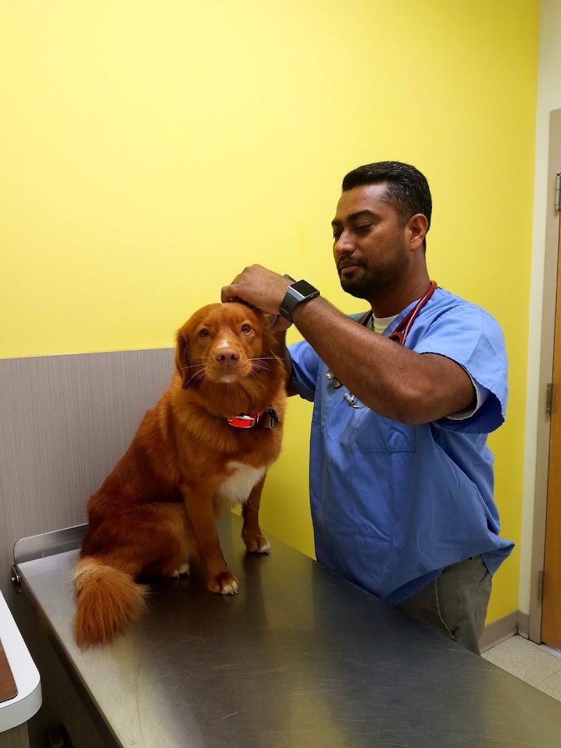 Caring Hands Veterinary Clinic