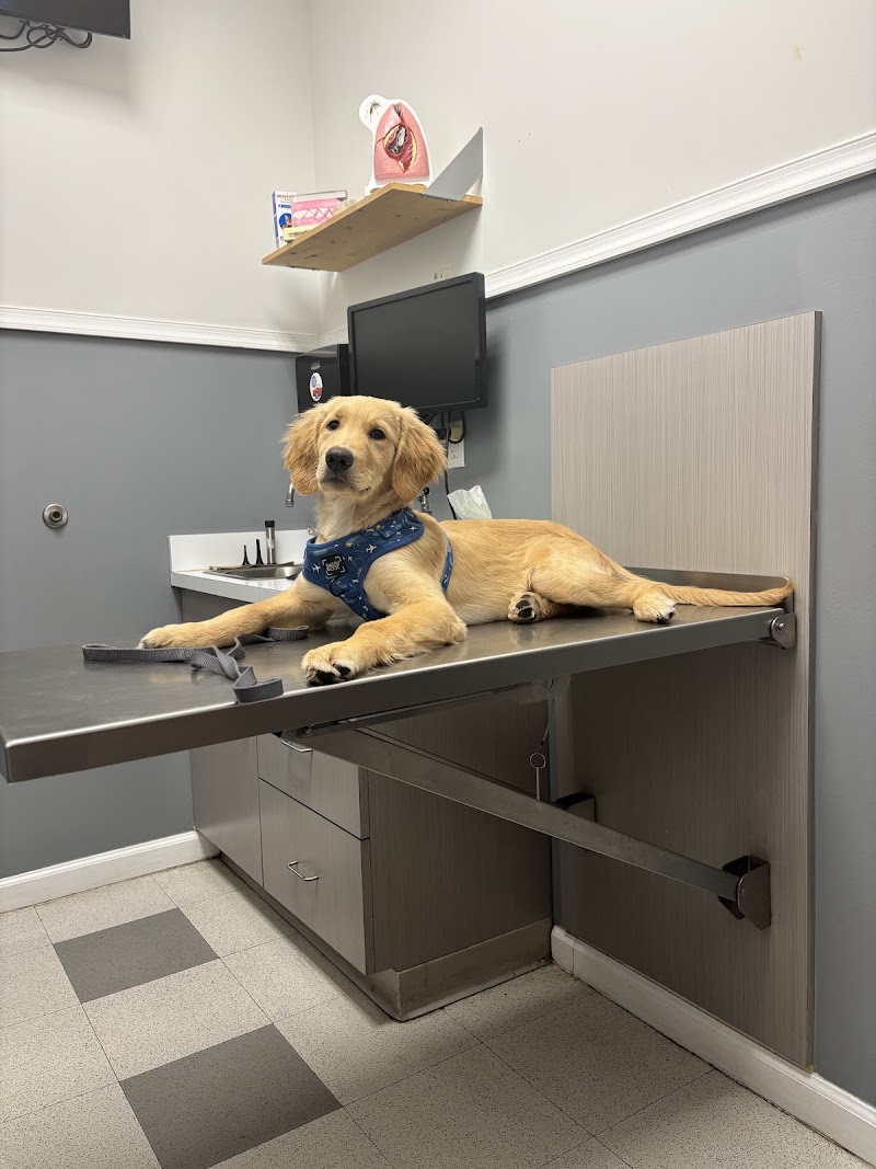 Caring Hands Veterinary Clinic