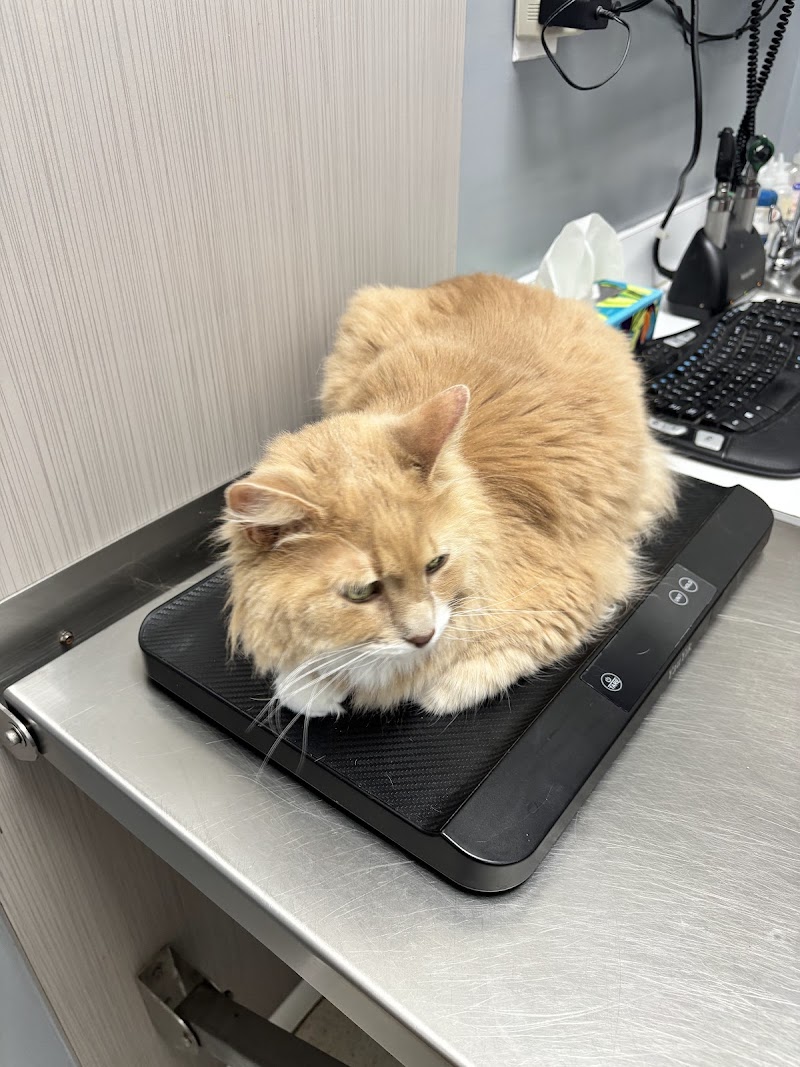 Caring Hands Veterinary Clinic