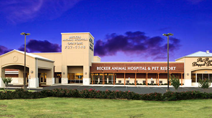 VCA Becker Animal Hospital and Pet Resort