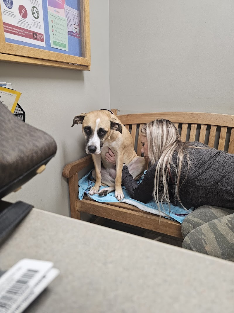Animal Hospital of Towne Lake