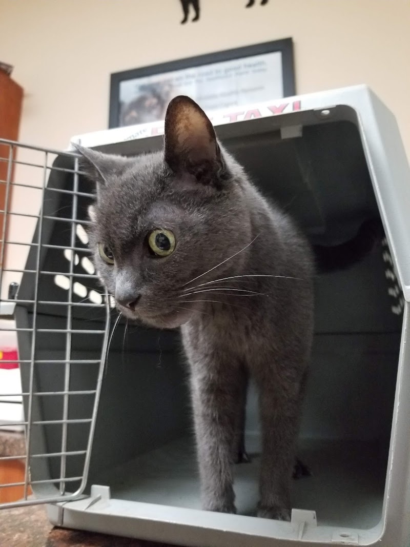 North Star Animal Hospital